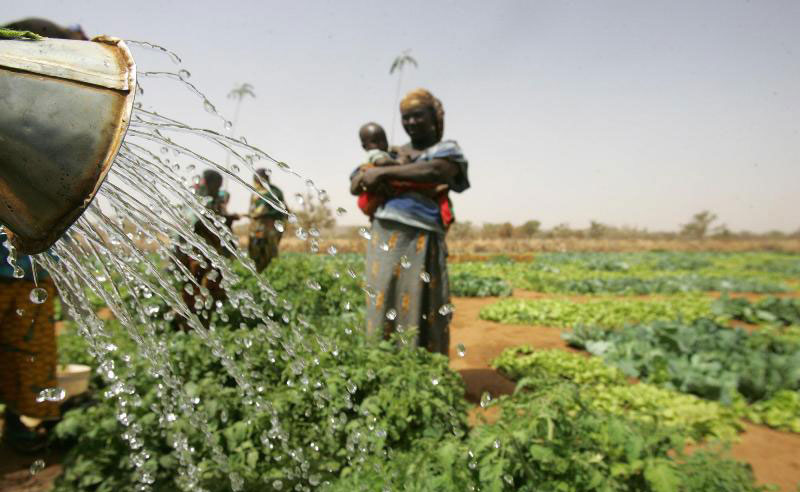 Photo: FAO/Giulio Napolitano