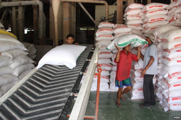 Workers carry bags of rice off a conveyor belt to stack in trucks, Tien Giang, Vietnam, September 14, 2012. (D. Schearf/VOA)
