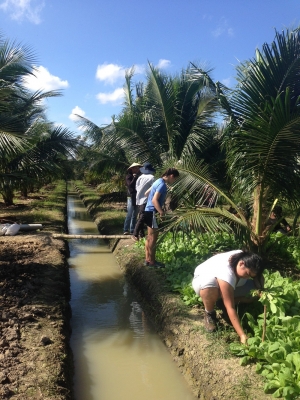 Thúy Tranviet/Provided Students harvest vegetables on a farm in Bến Tre, the Mekong Delta, Vietnam.