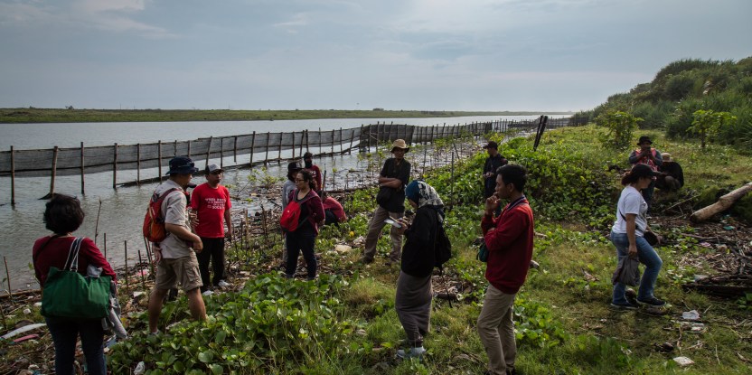In a media training at the 2018 Asia-Pacific Rainforest Summit, journalists visited the Baros Mangrove Conservation Area. CIFOR Photo/Ulet Ifansasti