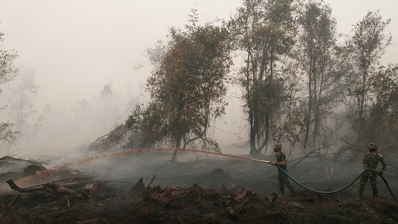 Indonesian leader Joko Widodo warned officials who failed to tackle the forest fires would be sacked (Photo: CIFOR/Flickr)