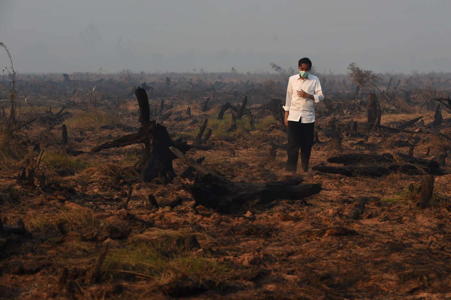 Indonesia's President Joko Widodo inspects a peatland clearing that was engulfed by fire in 2015. (Photo: AFP/Romeo Gacad) 