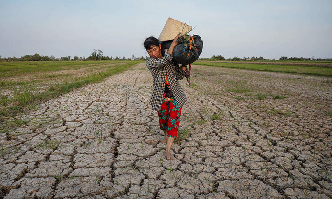 A farmer walks on her cracked field due to severe drought in Ben Tre Province in the Mekong Delta, March 2020. Photo by VnExpress/Huu Khoa.