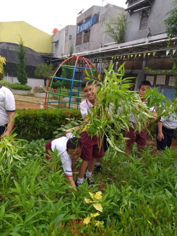Students of Santo Markus I Elementary School learn how to plant medicinal herbs as part of their green program at the school garden in East Jakarta Indonesia (Photo courtesy of Ruben Kharisma)