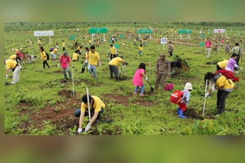Myanmar Church’s tree-planting drive in the spirit of “Laudato Si&quot;