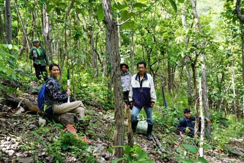 SEARCA-ASRF Grantees promote sustainable utilization of Non-Timber Forest Products in Thailand